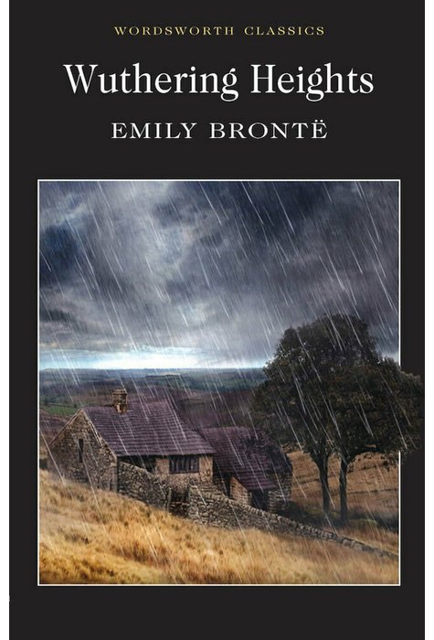 'Wuthering Heights' Themes, Symbols, Literary Devices